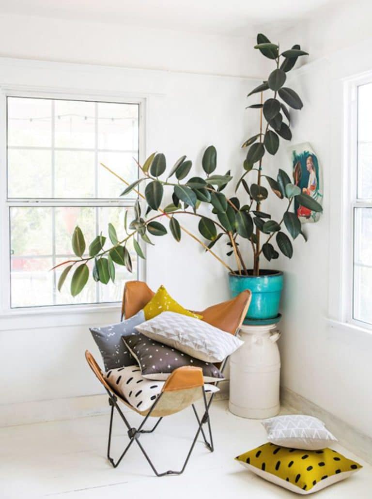Les plantes qui vont avec un intérieur exotique