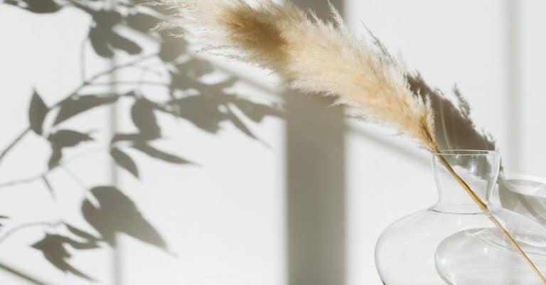 Comment aménager une décoration rustique avec style ?