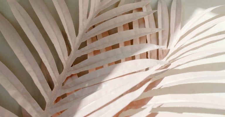 Inspirations pour une décoration tropicale : comment créer une atmosphère dépaysante ?