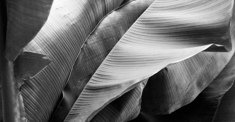 Pourquoi les textiles jouent-ils un rôle essentiel dans les tendances déco ?