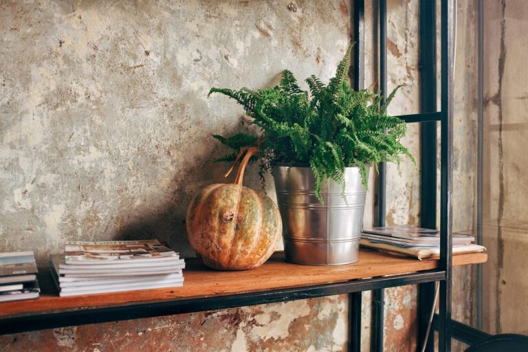 Comment obtenir une décoration intemporelle avec des conseils pratiques ?