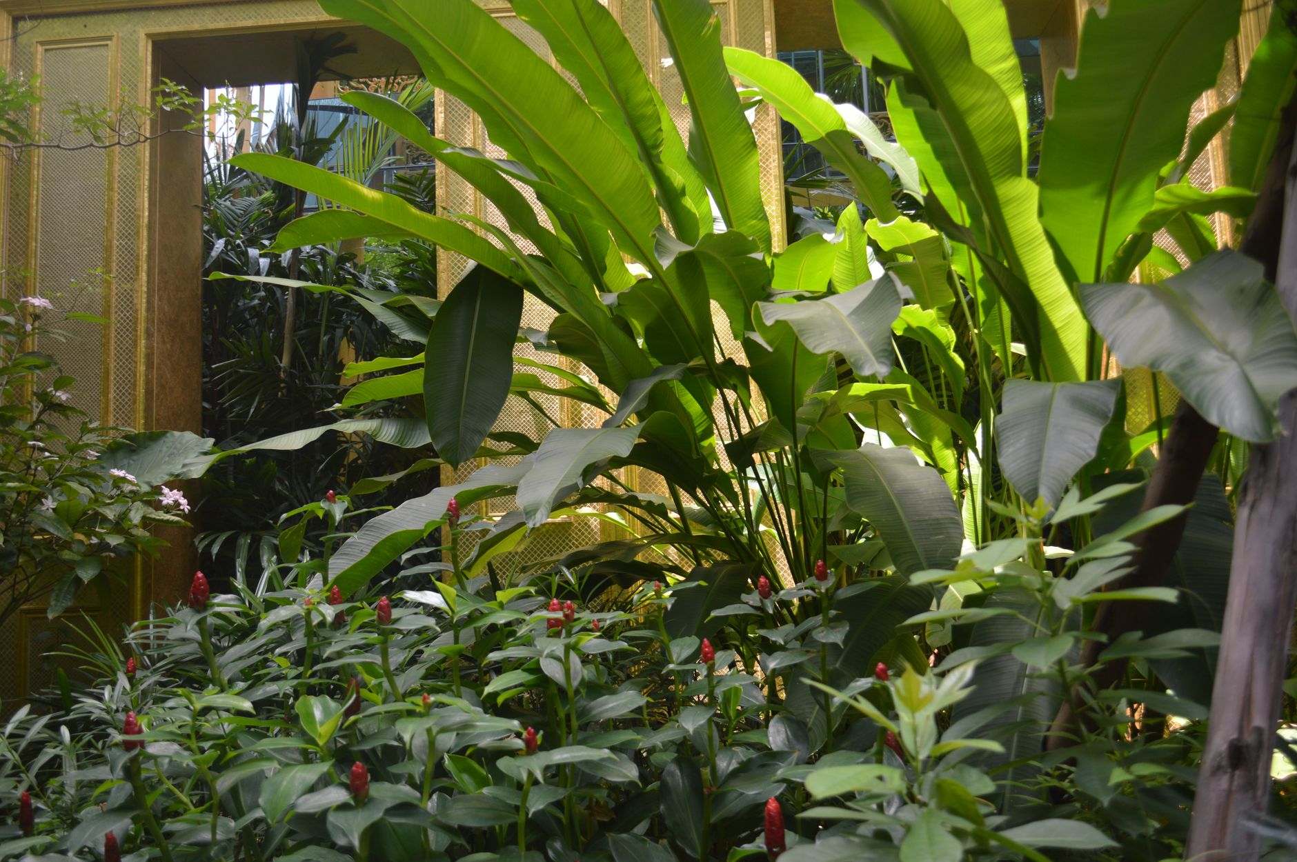 Comment créer une décoration tropicale et dépaysante ?