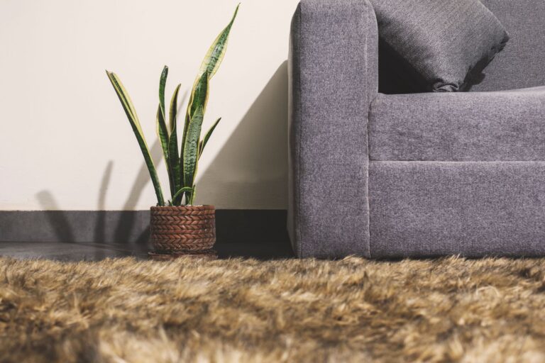 Comment créer une décoration design pour un intérieur moderne ?