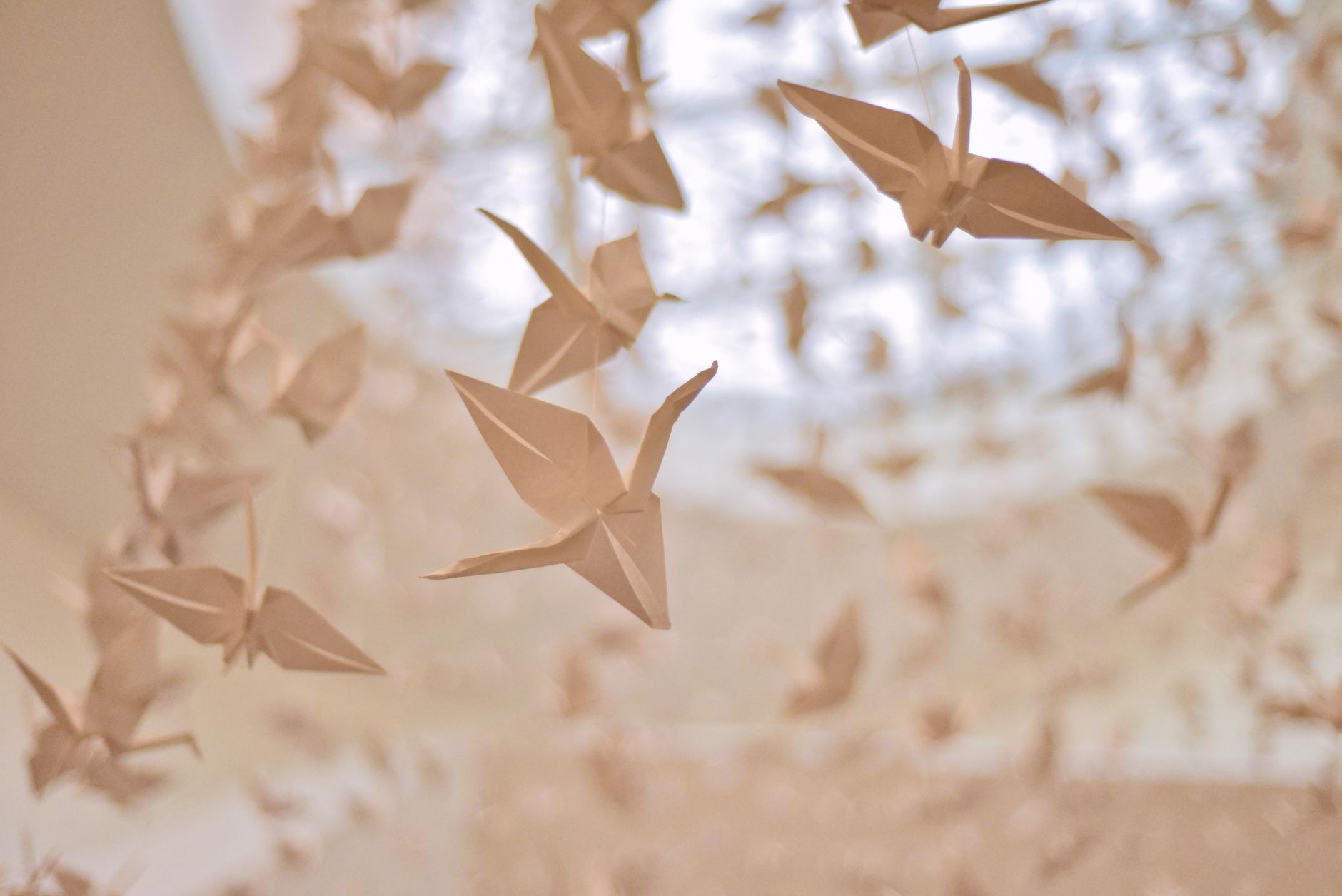 Grues en origami de papier beige suspendues en l’air dans un intérieur lumineux, certaines nettes au premier plan, d’autres floues derrière.